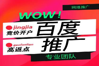 专业SEM托管公司案例分享：提升流量秘诀